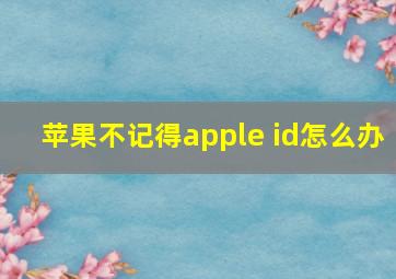 苹果不记得apple id怎么办